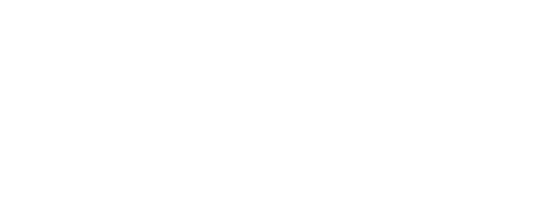 Logo visit friesland